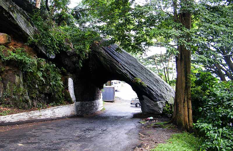 A Journey Through the Last Citadel of Sri Lanka