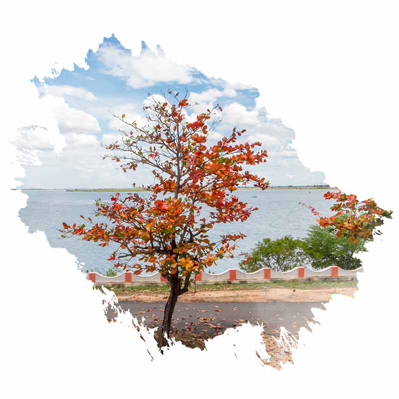 Batticaloa Fort welcome 800x800