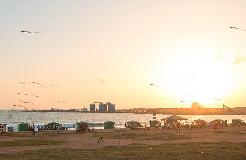 Colombo on a Budget