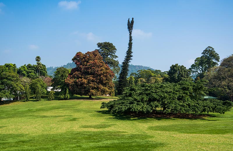 Experience the Great Outdoors in Kandy