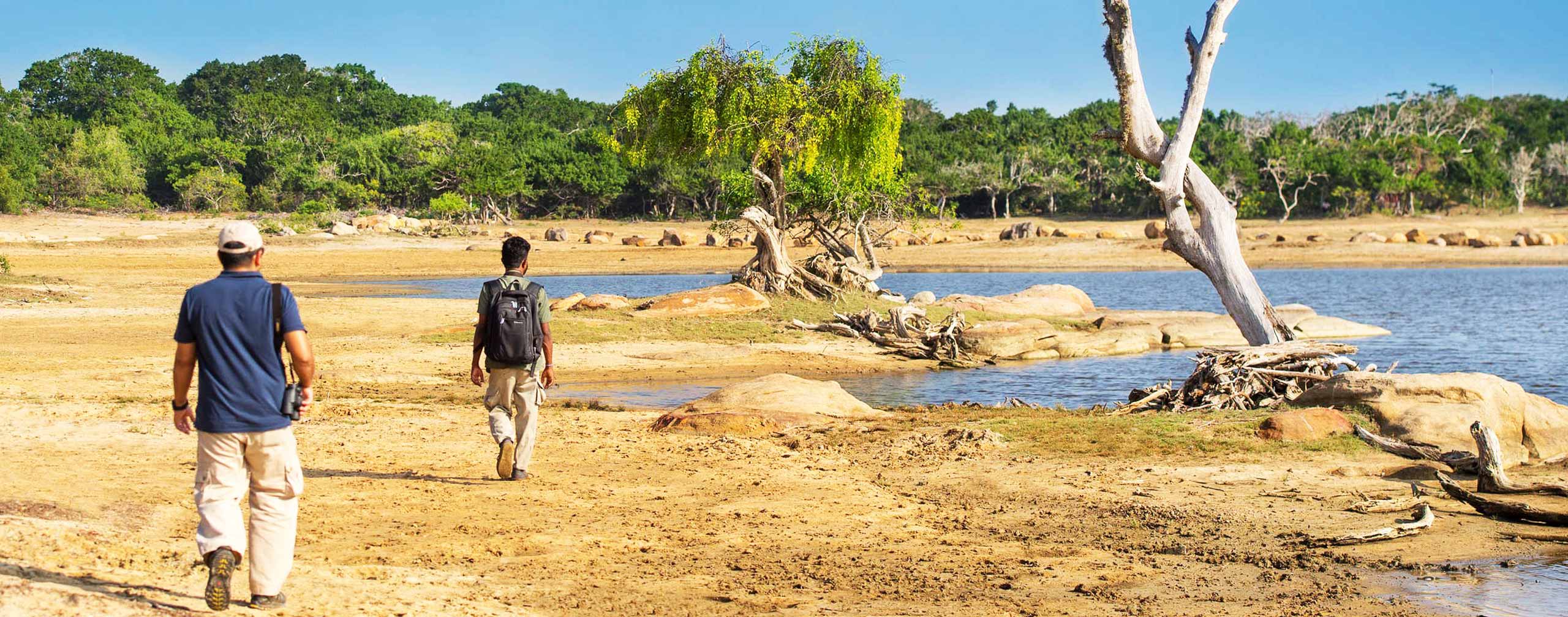 Guided Bush Walk Experience