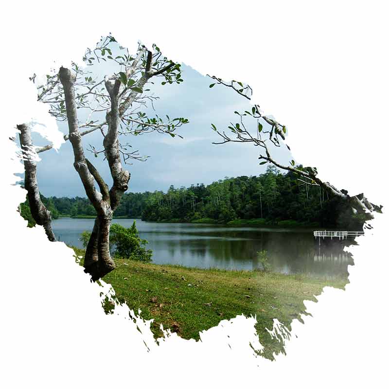 Hiyare Reservoir Rainforest welcome 800x800