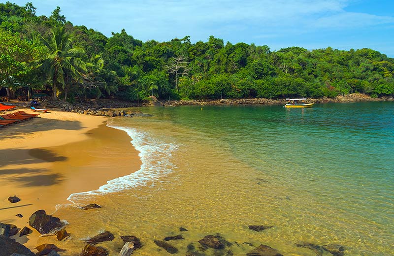 Jungle Beach