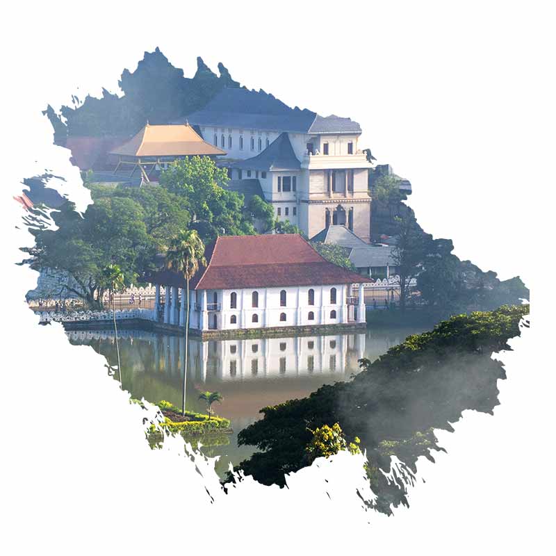 Kandy welcome 800x800