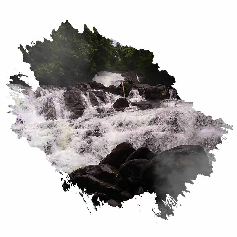 Kanneliya Rainforest welcome 800x800