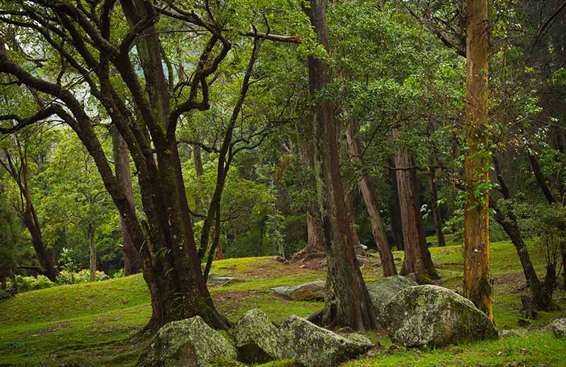 Let the Ramayana Trail Take You on a Mythical Journey