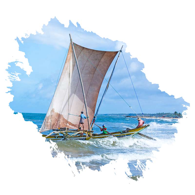 Plan Your Holiday in Negombo welcome 800x800