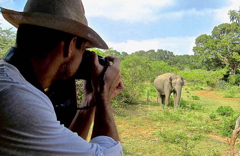 Yala for Solo Travelers