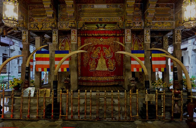 The Home of an Ancient Relic of Buddhism