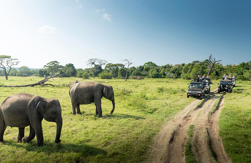 Visiting Sri Lanka in February