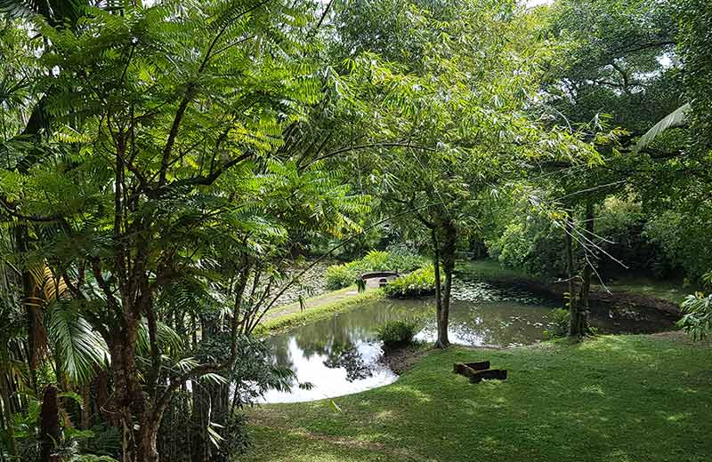 Garden Culture – A Feast for the Senses