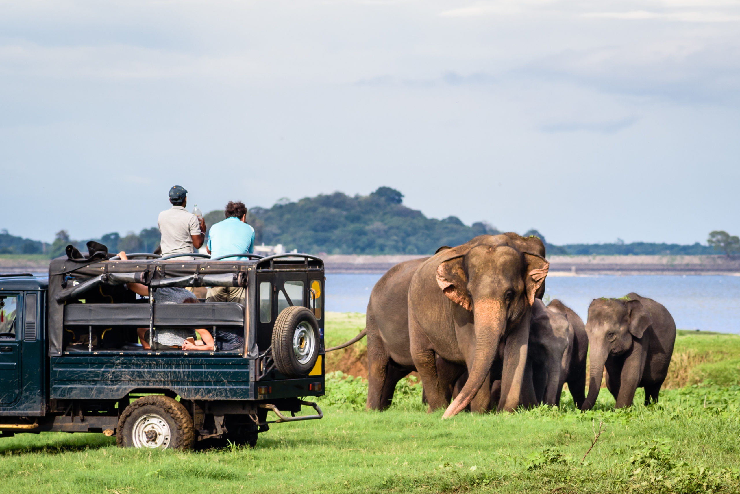 wildlife explore tours