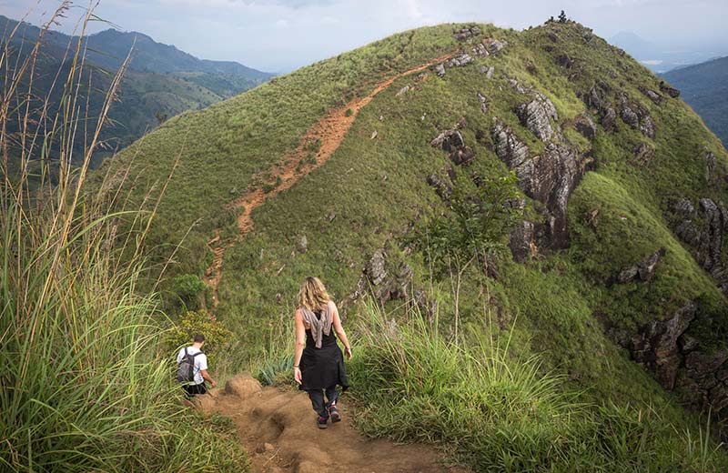 A Couple’s Guide to Ella