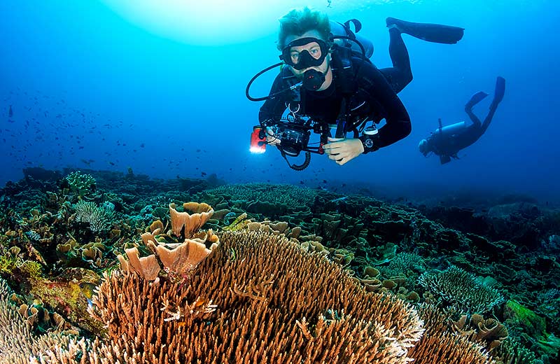 Explore Diving in Sri Lanka